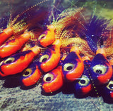 "SUPERSTITION" GLASS MINNOW